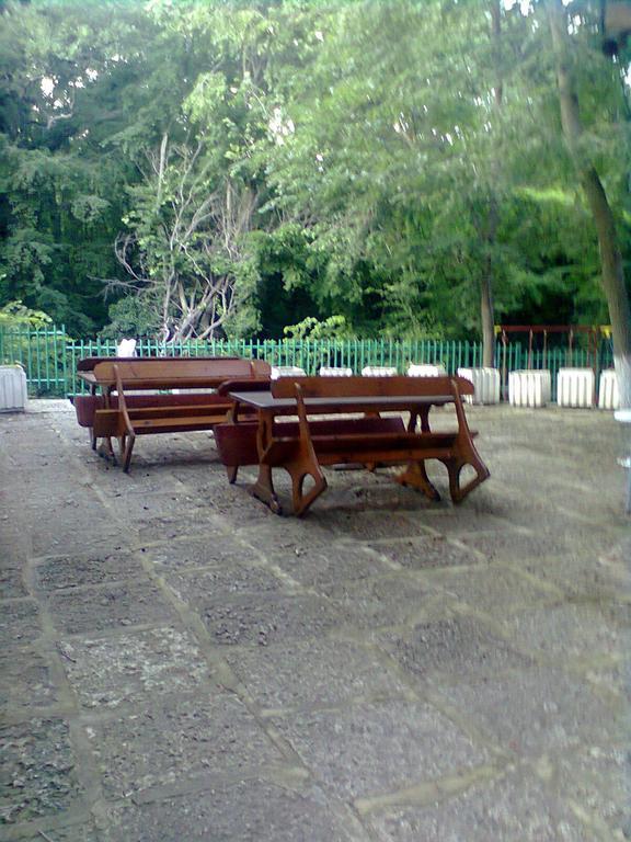 Oasis Золоті Піски